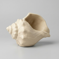 Coastal Shell Vase